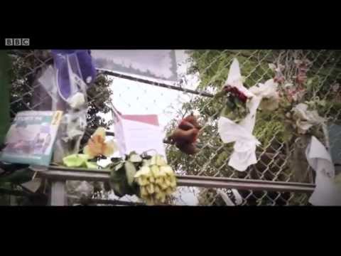 BBC F1 2014: Senna Tribute