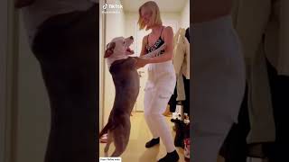 Köpeği İle Dans Ediyor Çok Tatlı  #yarenalaca #Short #shorts #fyp