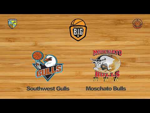 Southwest Gulls 39 - 64 Moschato Bulls | BIG Cup Playoffs Φάση 4