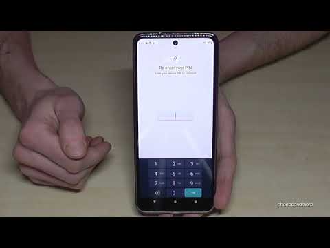 Motorola moto G31: How to enable the Developer Options? for USB Debugging etc.