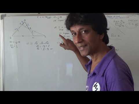 Vectors   Collinear Points