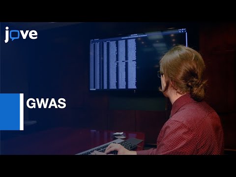 GWAS Analysis of Metabolic Pathway by  Pathway Association Study Tool | Protocol Peview