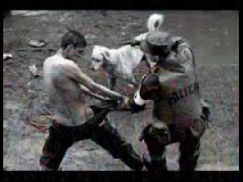 HIJOS DEL CONCRETO  -ES GUERRA