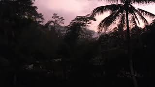 FROG VOICE IN THE MORNING