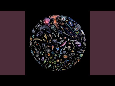 One Million Miles Away (From the Illusionary Movements of Geraldine & Nazu)