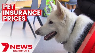Best and worst pooch prices when it comes to pet insurance | 7NEWS
