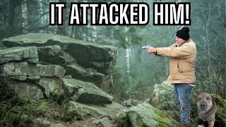 UNKNOWN Predator Attacks Our Dog! We Found Its Cave…