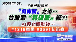 【量子戰情室】#陳武傑 0801 #量子戰情室 『假穿頭』之後…台股要『真破底』嗎?! AI停止轉動後…#1319東陽#3591艾笛森 (圖)