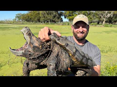 This ALLIGATOR SNAPPING Turtle Was Causing a BIG Problem (Catch and Cook)