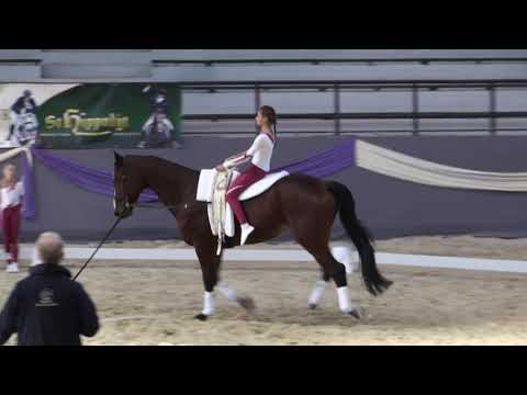 Lovastorna - Országos Bajnokság 2018. - Hajagos Hajnalka - Köt