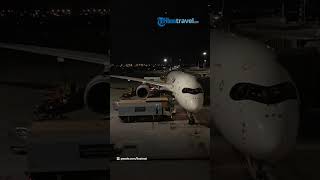 Menilik Bandara Changi Singapura yang Jadi Nominasi Terbaik di Dunia 2023, Sudah 12 Kali Didapat