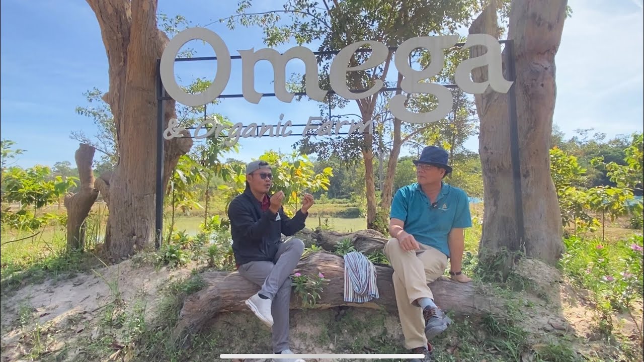 ทำโปรเจค IoT - รับทำระบบ Smart Farm ทุกขนาดพื้นที่ สำหรับพืชไร่ โรงเรือนปลูกผัก โรงอบพลังงานแสงอาทิตย์ ประมง - 2