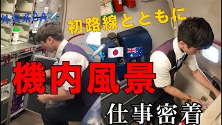 【初路線解禁】現役外資系CAのリアルなギャレーポジション勤務が楽しすぎた