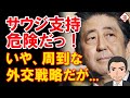 安倍首相の自衛隊派遣説明を”サウジ側完全支持”に、ジャーナリスト「これは危険」...はたしてそうか？