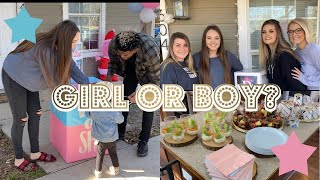 Vlog: Throwing A Gender Reveal Party