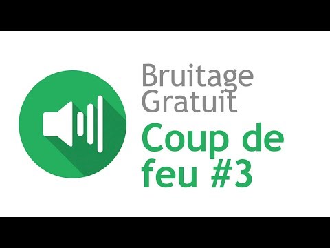 COUP DE FEU #3 - Bruitage Gratuit