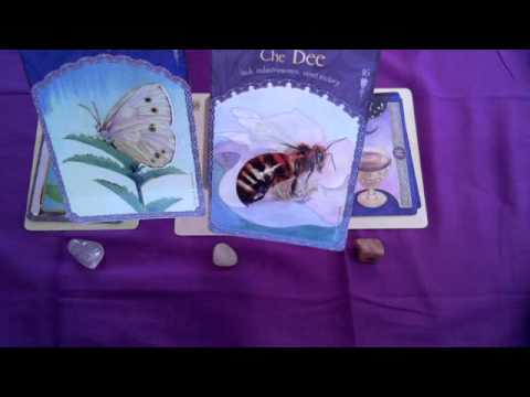 Engel-Wochenorakel vom 04.-10. August 2014 - Conny Koppers