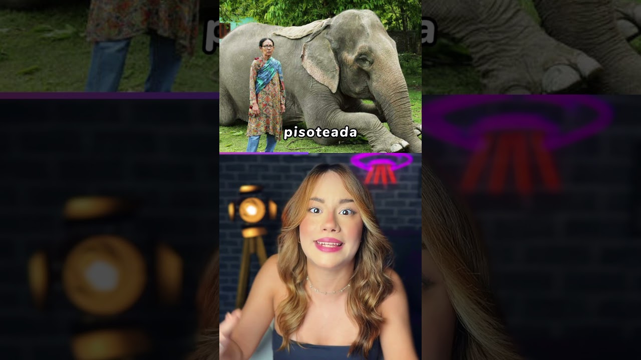 os jeitos mais BIZARROS que pessoas morreram