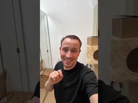 Kundenerfahrung Altenschmidt: Umzug Düsseldorf nach Frankfurt - komplette Wohnung