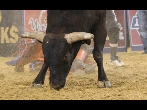 Asteroid dumps Luke Snyder