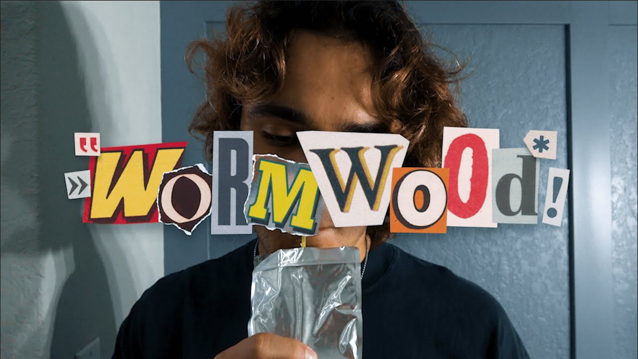 Wormwood | A Not So Short Film
