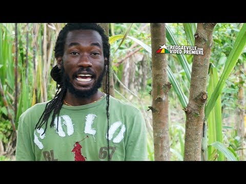 Junior Morgan - Thankful [Official Video 2017]