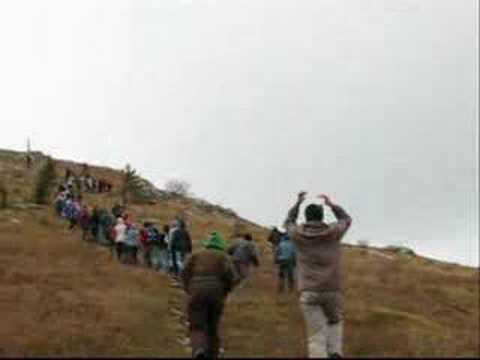 Schtrulle - Snežinka & Krokodilčki