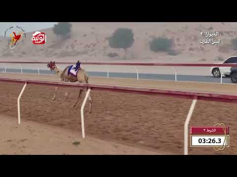   ش 3 (شاهين) لـ حميد عبدالله حميد الخاطري 6:23 , شارة الديوان 2 2026/09/26 لقايا اللبسه 