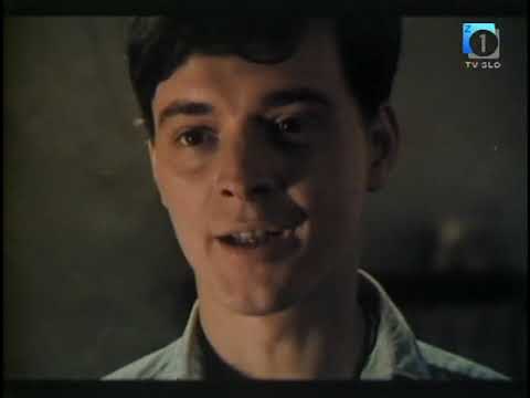 6. Strici so mi povedali 6.del (ŠARIKA)