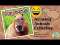 ESL English Stories Amazing Animals Books Capybaras
