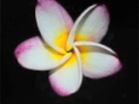 Israel 'IZ' Kamakawiwo'ole Over The Rainbow OFFICIAL Remix Kamaka Pahinui