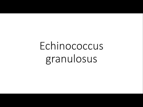 teniosis hymenolepidosis csecsemőkori reflux tünetei