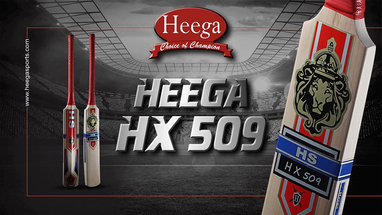 Cricket Bat Review