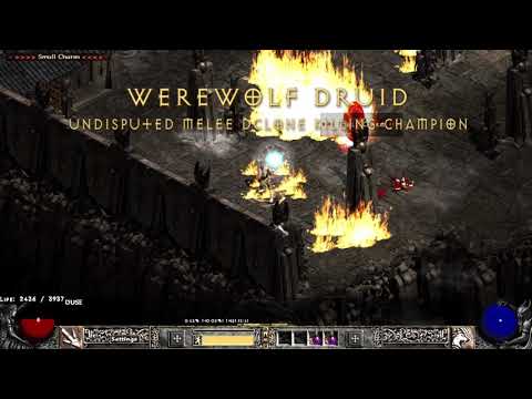 Werewolf Druid (35 Seconds) Melee Diablo Clone Kill - Project Diablo 2 - Pd2 Season 1