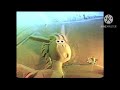 Sesame Street Sand Animals Sing A Song Ft Elmo