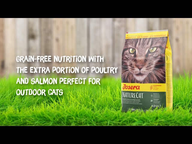 جوسيرا نايتشر كات بالسالمون والدواجن للقطط البالغة...