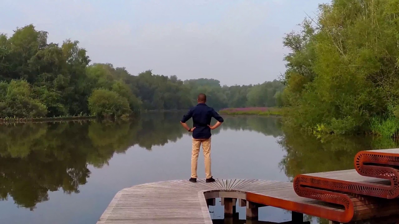 Embark on a walking tour through the expanse of Amsterdamse Bos.