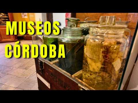 Recorrido por los Museos de la Academia Nacional de Ciencias | Walking Tour en 4K