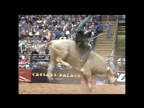 Promise Land bucks Dean Wilson - 99 PBR Phoenix