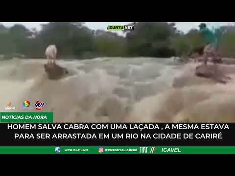 Cabra é salva com uma laçada durante enchente em um rio na cidade de Cariré