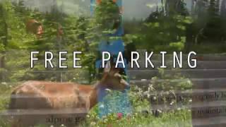 FREE PARKING EP. 1 PART 1