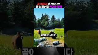 Download lagu [충격주의] 평화롭게 쉬는데 캠핑카 덮친 야생 곰 무리 ㄷㄷ 창문 다 잠그고 거실 통로로 운전석 넘어가서 탈출하는 소름 돋는 생존기 #곰습격 #야생생존 #캠핑카 mp3