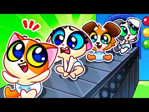 👶 So Many Babies 🤱 Meet New Sibling & Learn How to Take Care of Baby 😻 Purr-Purr Stories