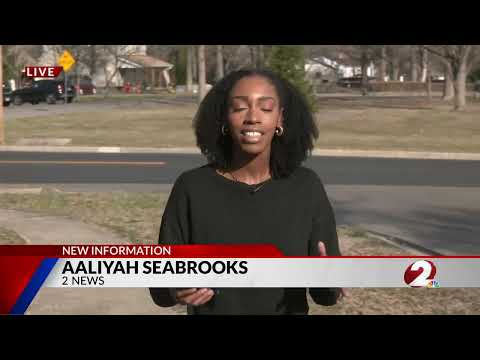 Multimedia Journalist & Reporter News Reel 2025