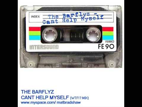 THE BARFLYZ - CANT HELP MYSELF (WTF!? MIX)