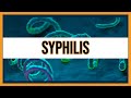 Syphilis Treponema Pallidum