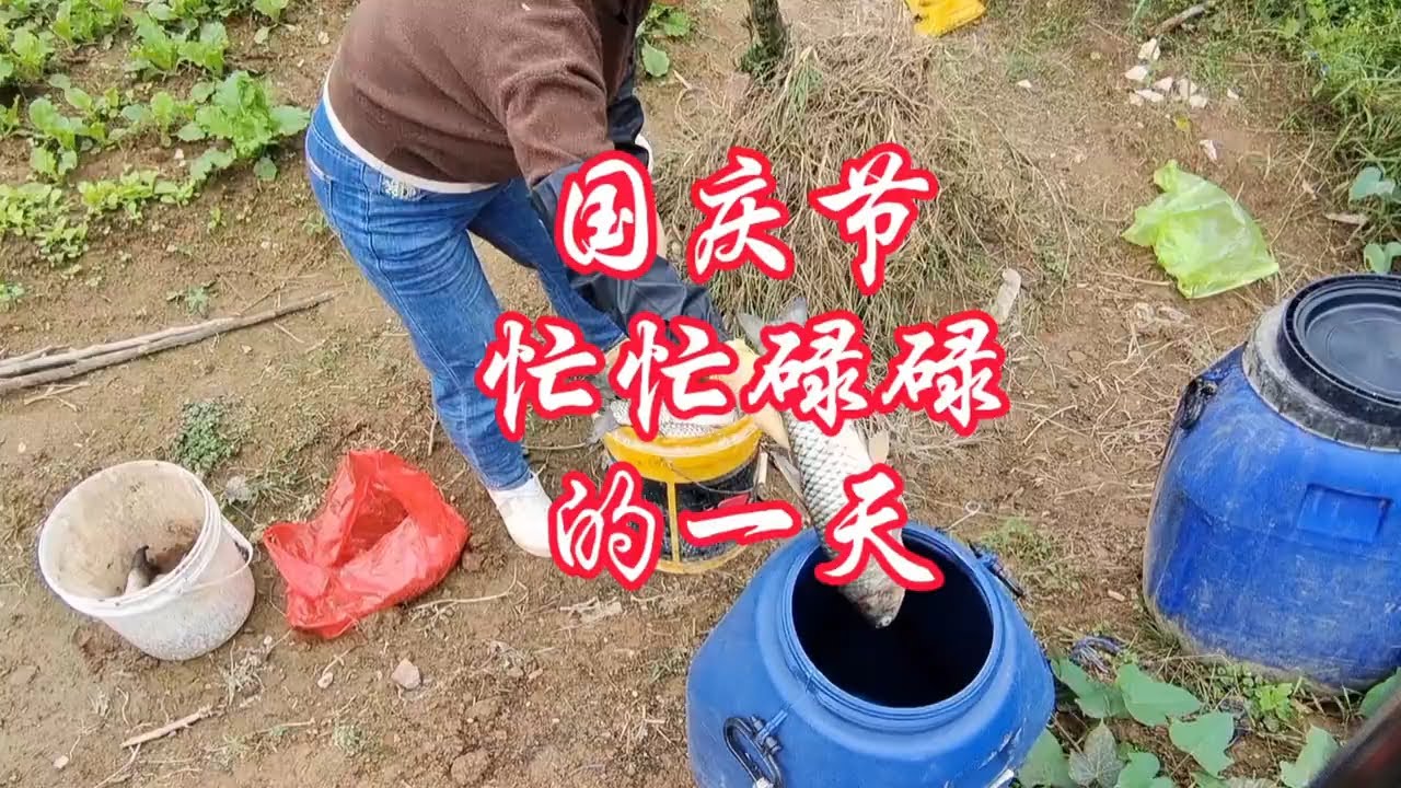 只要你想干就有干不完的活！#一份耕耘一份收获 #忙忙碌碌一天 #我的小菜园 #三农