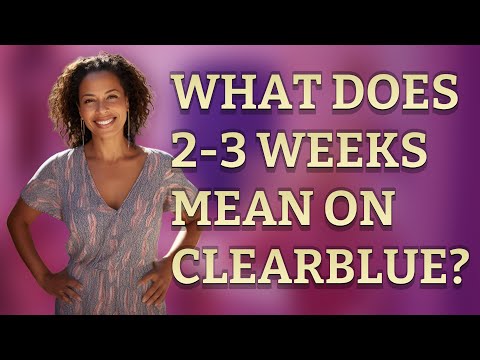 What does 2-3 weeks mean on Clearblue?