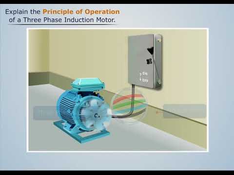 Working principal of three phase induction motor