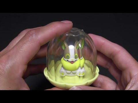 ジェムリ科 - 定義